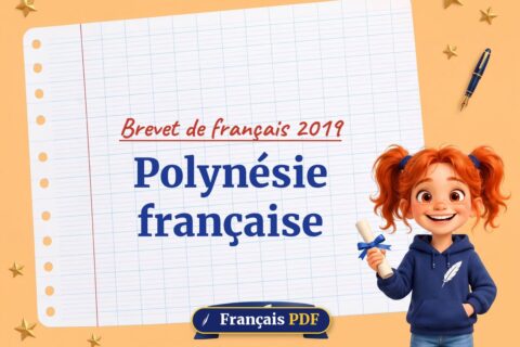 Polynésie française : brevet de français 2019, illustration Français PDF