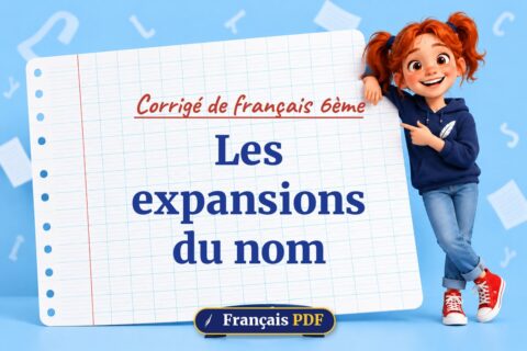 Les expansions du nom : corrigé de français 6ème, illustration Français PDF