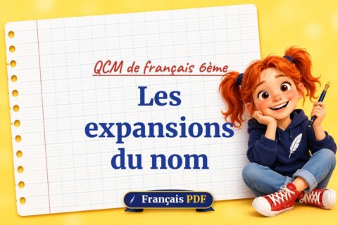 Les expansions du nom : QCM de français 6ème, illustration Français PDF