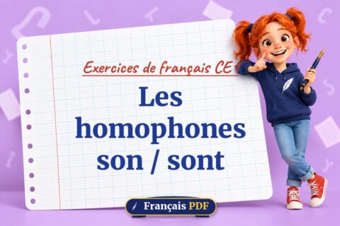 Les homophones son / sont : exercices de français ce1, illustration Français PDF