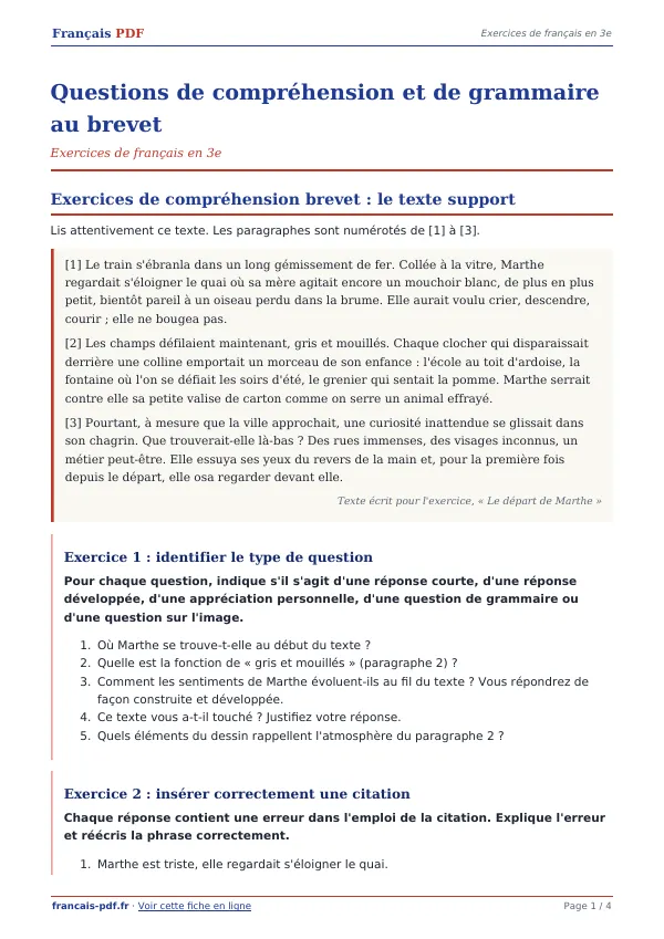 Exercices « Questions de compréhension et de grammaire au brevet » en PDF